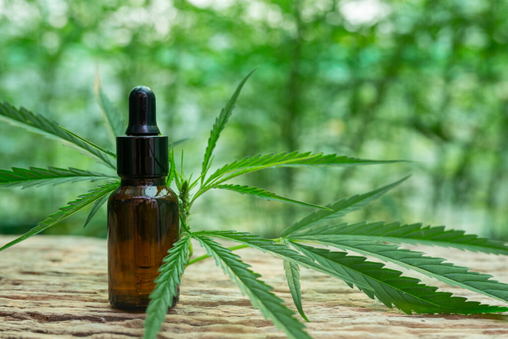 CBD for beginners